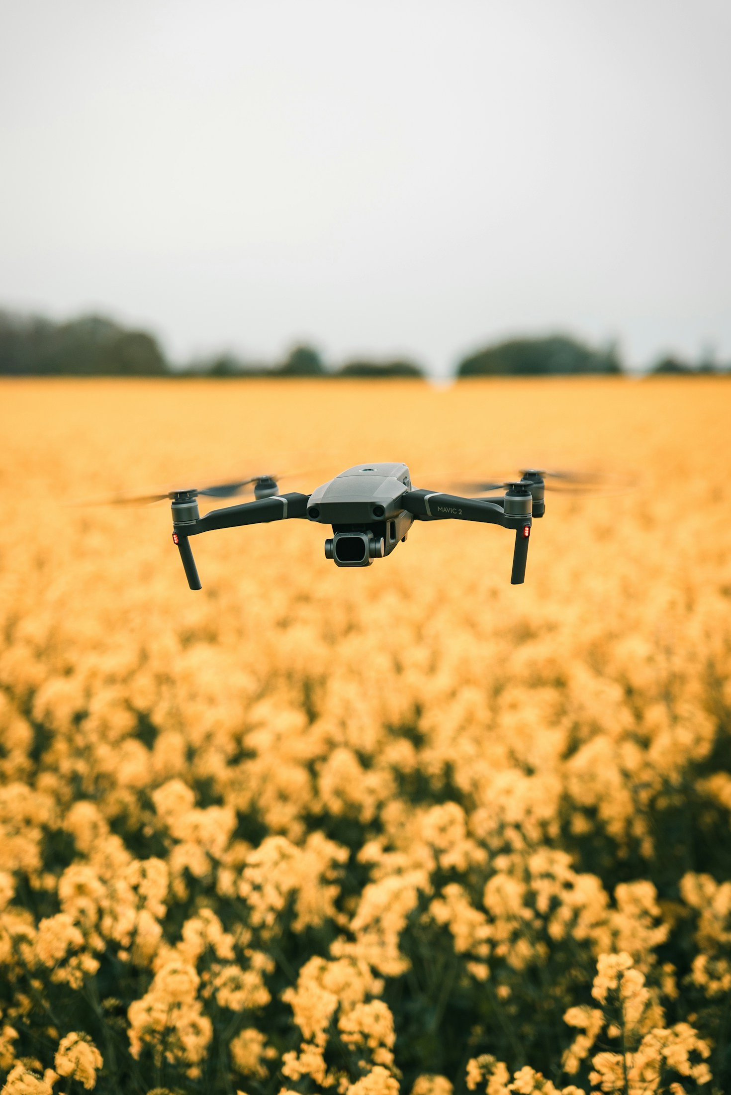 Technological Advancements in Everyday Gadgets